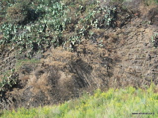i Castello mega pillow-07-10-2012 08-24-27